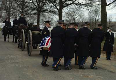 Full Military Honors at 
Arlington National Cemetery Photographed by Gwendolyn Stewart, c. 2009; All Rights
Reserved