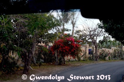 TROPICAL TRAFFIC & EN ROUTE TO NUSA DUA Photographed by Gwendolyn Stewart c. 
2013; All Rights Reserved