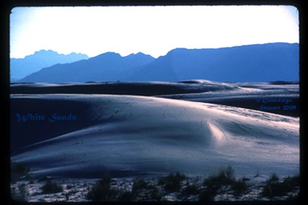 WHITE SANDS, New Mexico, 
Photographed by Gwendolyn Stewart, c. 2009; All Rights Reserved